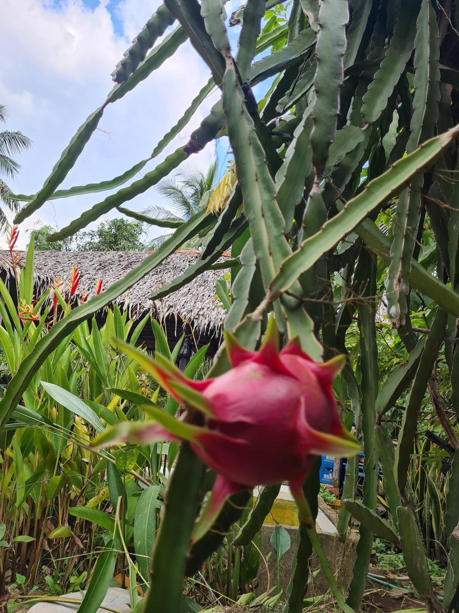 Nam Binh Homestay Ben Tre Exterior photo